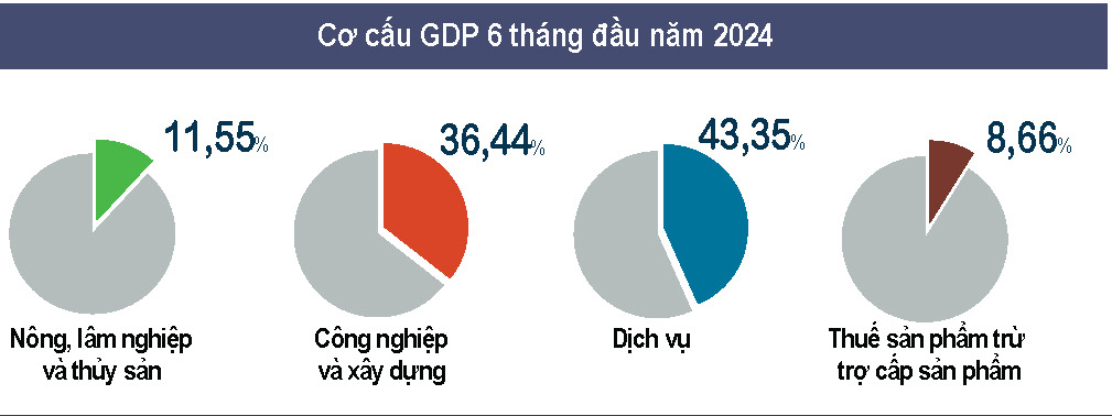 Bức tranh tăng trưởng kinh tế Việt Nam 6 tháng đầu năm 2024 tiếp tục khởi sắc 2