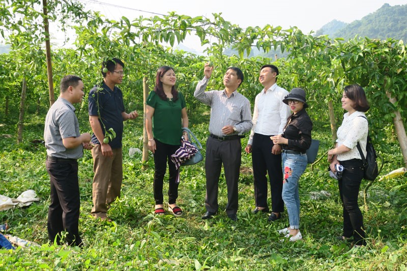 Những thành quả đáng khích lệ trong xây dựng nông thôn mới ở Hòa Bình 2