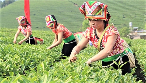 Thực trạng đời sống đồng bào dân tộc thiểu số - Nhìn từ chính sách 2