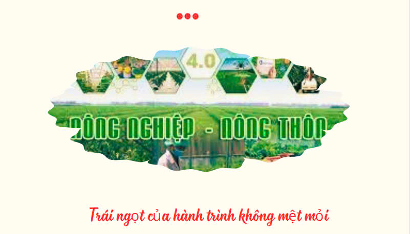 Trái ngọt của hành trình xây dựng nông thôn mới chuyển từ lượng sang chất 7