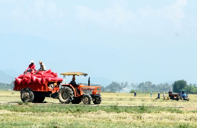 Ninh Thuận: Phát triển mạnh các mô hình sản xuất nông nghiệp để đẩy mạnh phát triển kinh tế vùng dân tộc thiểu số và miền núi 1