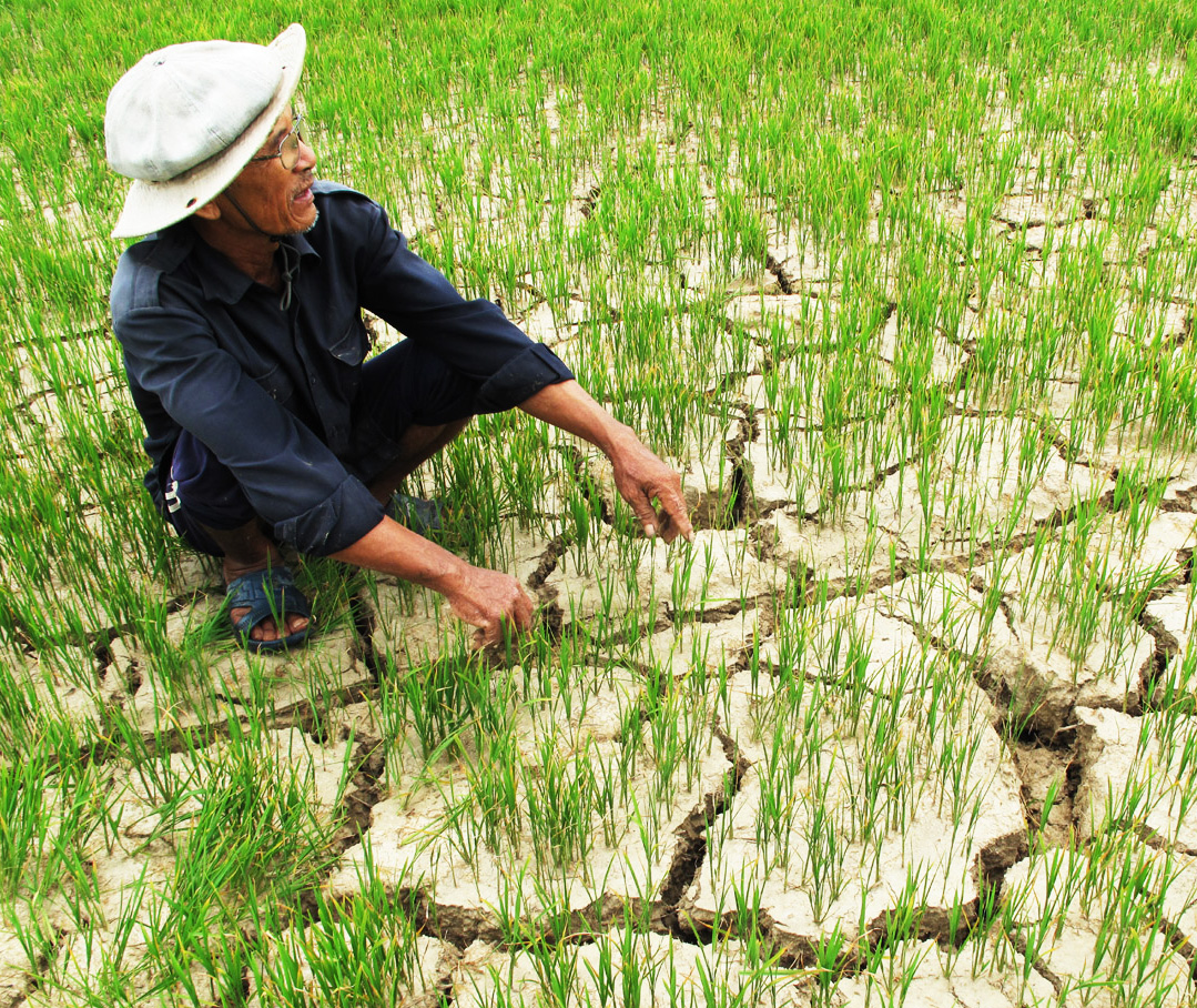 Tăng cường liên kết giữa các địa phương, vùng trong sử dụng tài nguyên, bảo vệ môi trường và ứng phó biến đổi khí hậu 1