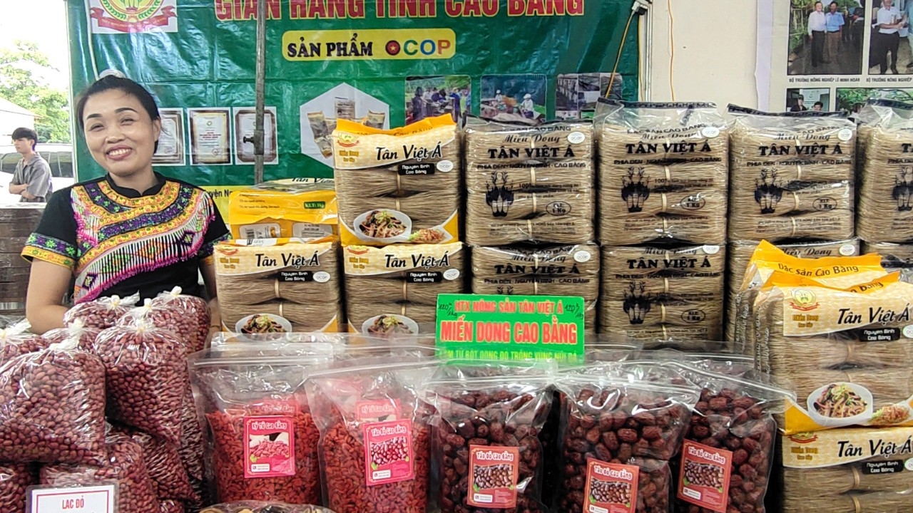 Cao Bằng: Phát triển nông nghiệp để phát triển kinh tế, nâng cao đời sống cho đồng bào dân tộc thiểu số 2