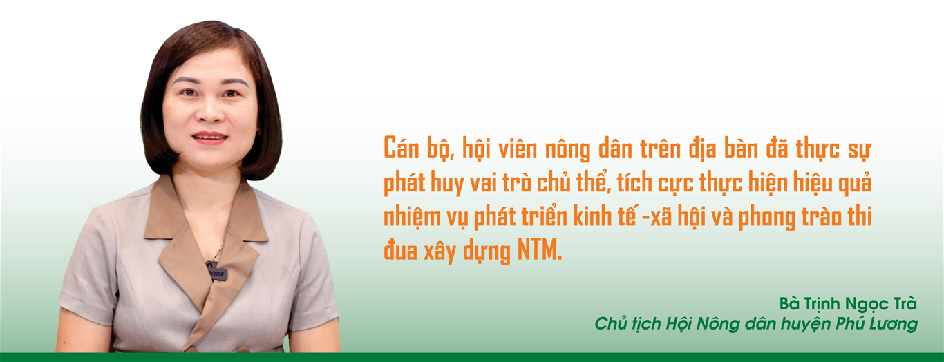 Huyện Phú Lương tỉnh Thái Nguyên quyết tâm về đích nông thôn mới năm 2024 3
