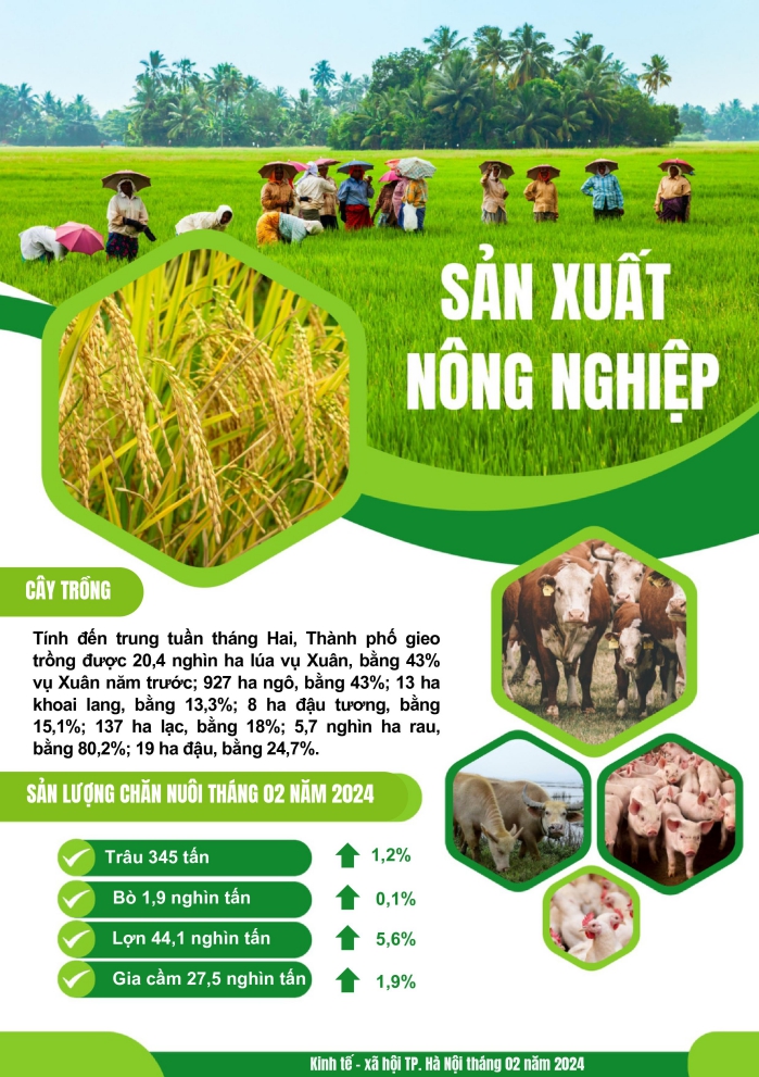 Tình hình kinh tế - xã hội thành phố Hà Nội tháng 02/2024 1