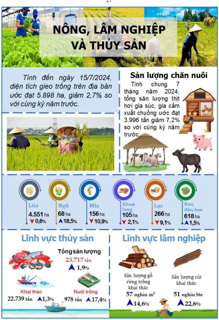 Một số chỉ tiêu kinh tế thành phố Đà Nẵng 7 tháng năm 2024 3