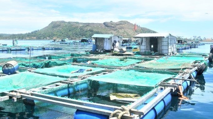 Phát triển ngành nuôi biển bền vững 1