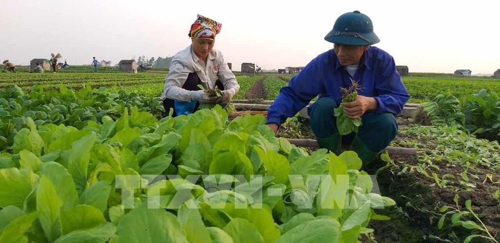 Từ 15/4, sẽ tiến hành điều tra doanh nghiệp năm 2022 1