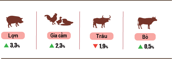Tình hình kinh tế - xã hội tháng 8 và 8 tháng năm 2023 1