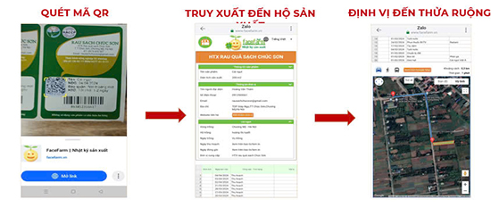 HTX Rau quả sạch Chúc Sơn – Mô hình kinh tế điển hình trong xây dựng nông thôn mới ở huyện Chương Mỹ 1
