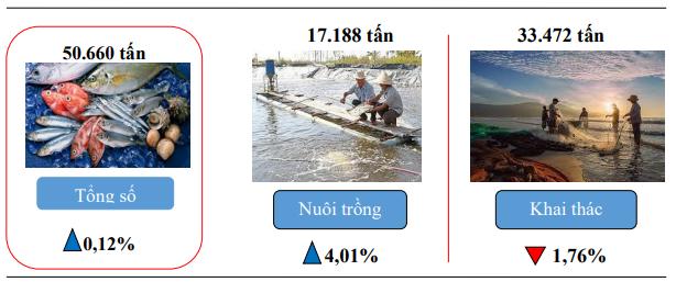 Kiên Giang: Sản xuất nông nghiệp tháng Một gặp nhiều thuận lợi 1
