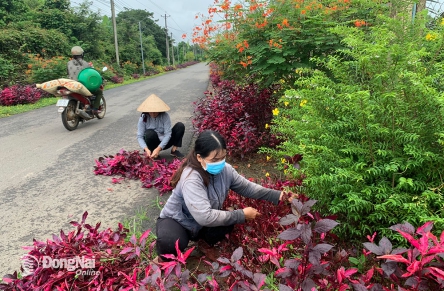 Tạo diện mao mới cho vùng nông thôn từ Chương trình mục tiêu quốc gia xây dựng nông thôn mới 1