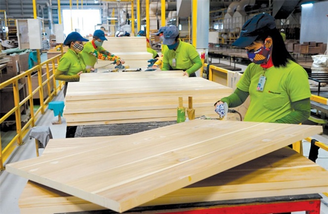 Ngành lâm nghiệp đặt mục tiêu kim ngạch xuất khẩu đồ gỗ và lâm sản đạt 17,5 tỷ USD năm 2024 1