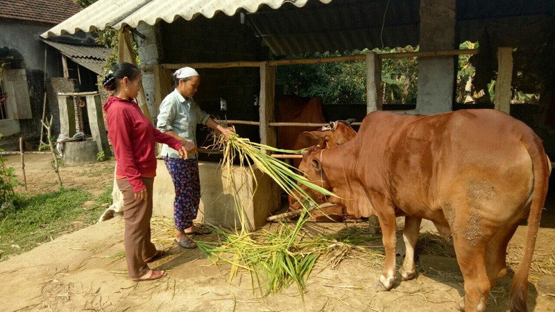 Hòa Bình: Thực hiện có hiệu quả chỉ thị 40 của Ban Bí thư Trung ương Đảng đối với tín dụng chính sách xã hội 4