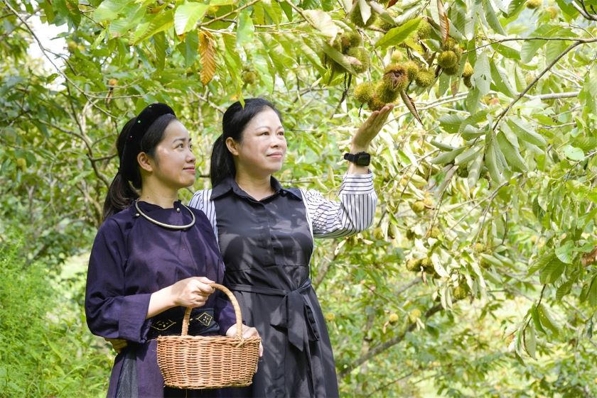 Xã Quảng Lạc: Điểm sáng trong phát triển kinh tế - xã hội 1