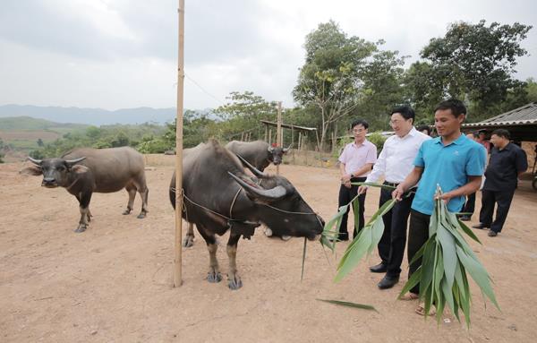 Điểm nhấn kinh tế - xã hội huyện Nậm Pồ tỉnh Điện Biên sau 5 năm thực hiện Nghị quyết Đại hội Đảng bộ huyện lần thứ II 3