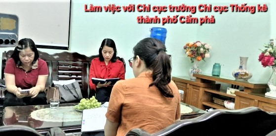Quảng Ninh tích cực thu thập thông tin  Điều tra dân số và nhà ở giữa kỳ năm 2024 5