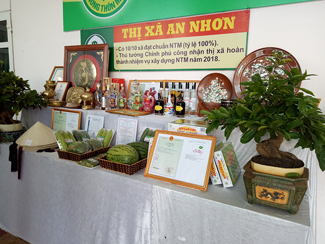 Nông thôn Bình Định qua kết quả điều tra nông thôn, nông nghiệp giữa kỳ năm2020 3