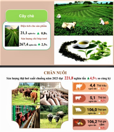 Tình hình kinh tế - xã hội năm 2023 của tỉnh Thái Nguyên 3