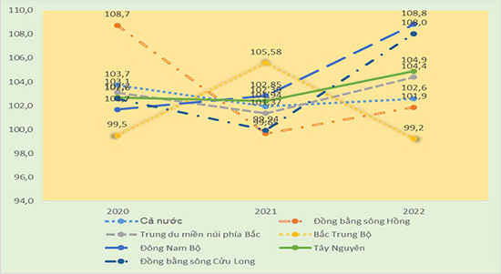 Xu hướng phát triển hoạt động tự sản tự tiêu của hộ gia đình giai đoạn 2020-2022 tương đối ổn định 1