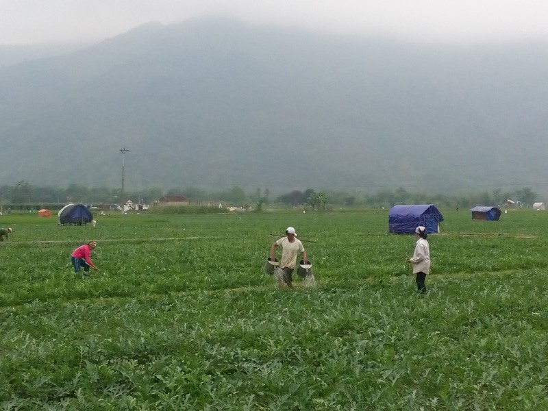 Huyện Mai Châu: Khai thác tiềm năng, thế mạnh để hội nhập và phát triển 4