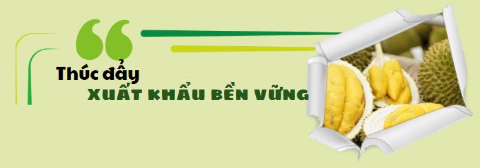 Sầu riêng - ngôi sao nông sản trên con đường xuất khẩu tỷ đô 5
