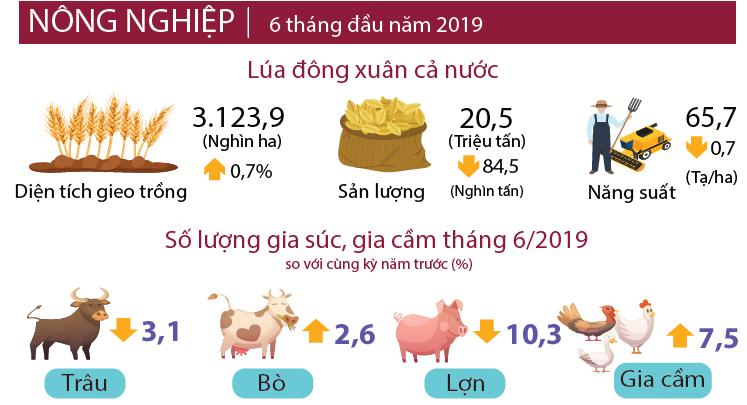 Kinh tế - xã hội 6 tháng đầu năm 2019 18