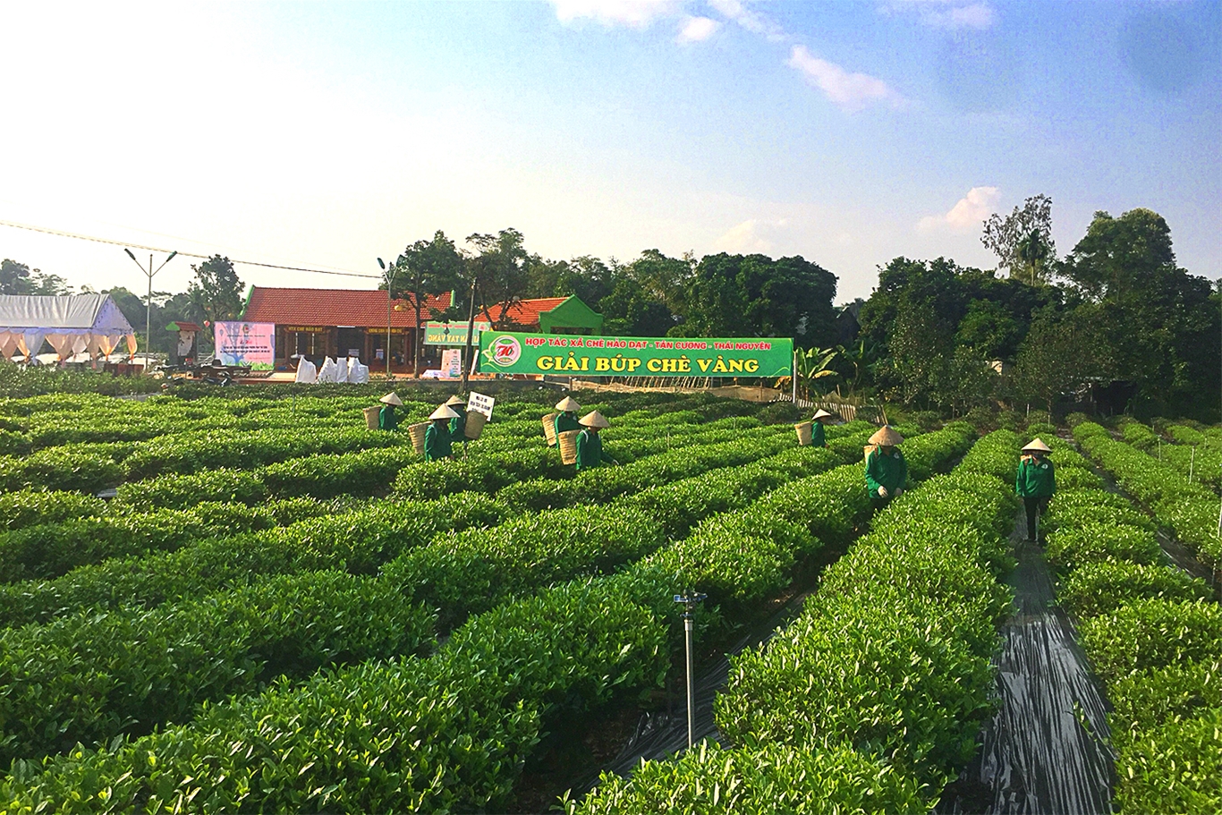 Thành phố Thái Nguyên: Xứng đáng trung tâm kinh tế - động lực tăng trưởng của tỉnh 4