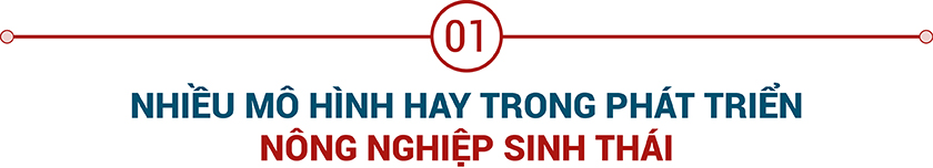 Nông nghiệp sinh thái - Dấu ấn trong xây dựng Nông thôn mới 1