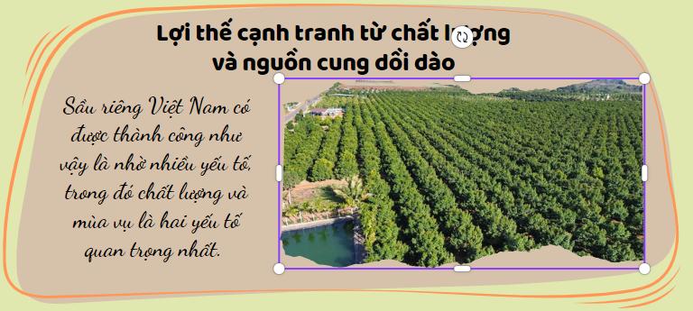 Sầu riêng - ngôi sao nông sản trên con đường xuất khẩu tỷ đô 1