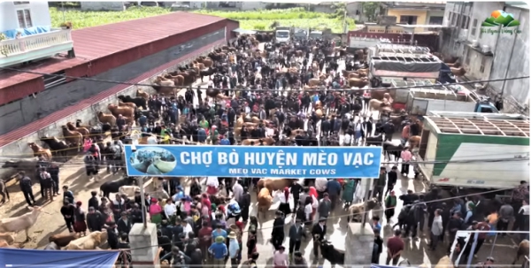Vai trò quyết định của già làng, trưởng bản, người có uy tín trong tuyên truyền Điều tra DTTS 2024 2