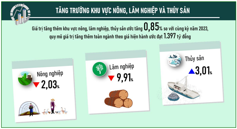 Một số chỉ tiêu kinh tế - xã hội thành phố Đà Nẵng 6 tháng đầu năm 2024