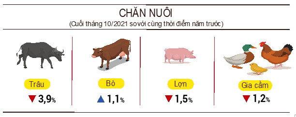 Tình hình kinh tế - xã hội tháng 10 và 10 tháng năm 2021