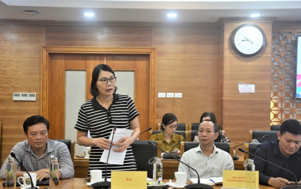 Hội thảo xin ý kiến chuyên gia góp ý Báo cáo kết quả chủ yếu về thực trạng trẻ em tham gia lao động và lao động trẻ em của Việt Nam năm 2023 3