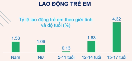 Việt Nam đạt tiến bộ đáng kể trong việc ngăn ngừa  và giảm thiểu lao động trẻ em 1