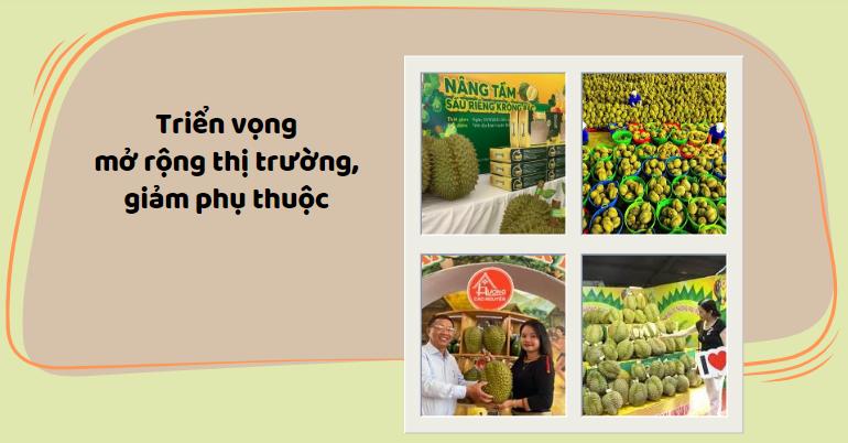 Sầu riêng - ngôi sao nông sản trên con đường xuất khẩu tỷ đô 4