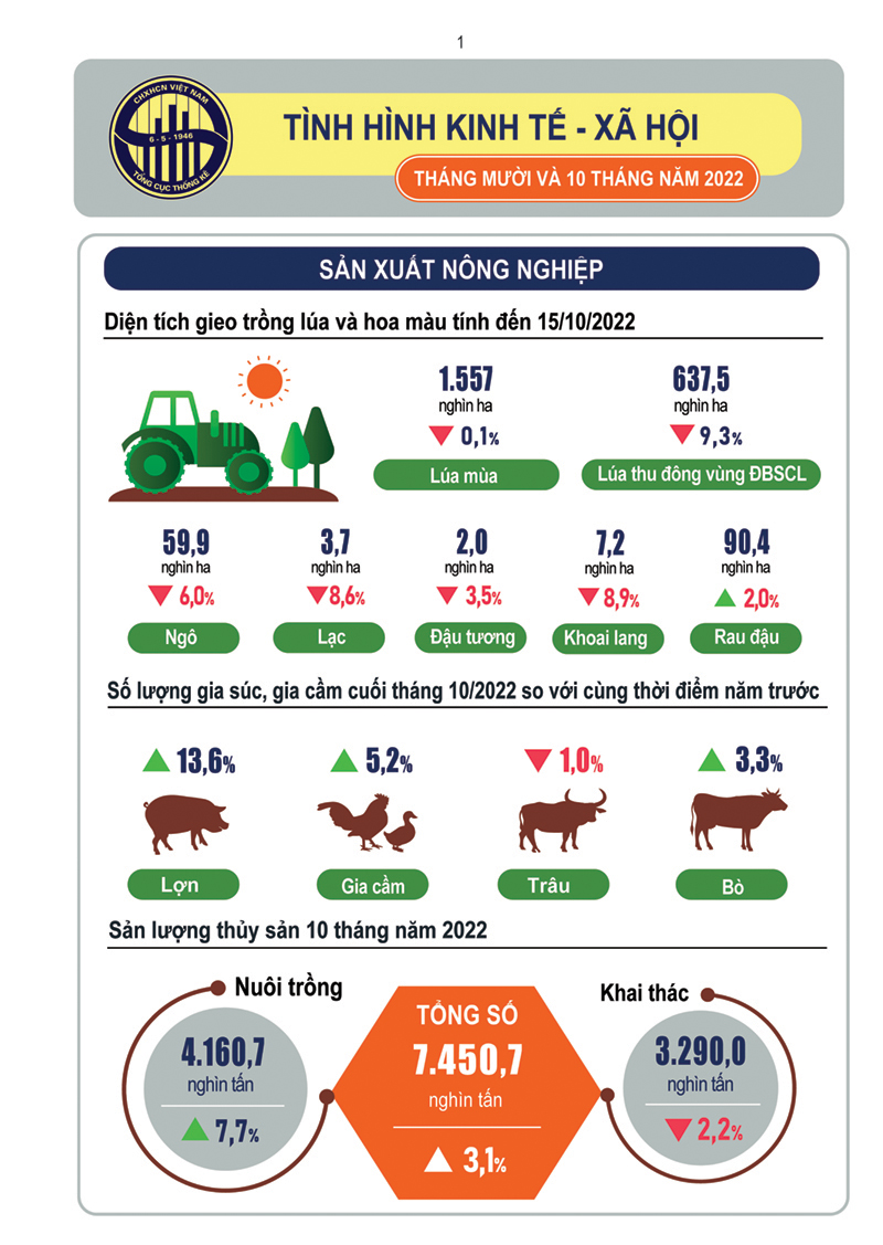 Tình hình kinh tế - xã hội cả nước tháng 10 và 10 tháng năm 2022 12