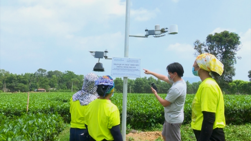 Hợp tác xã chuyển đổi số để thích ứng trong kỷ nguyên mới