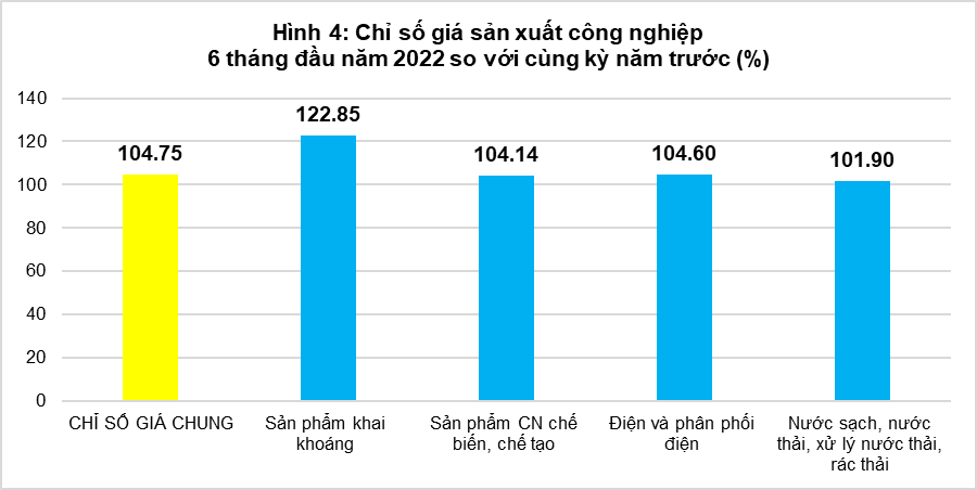 Tổng quan chỉ số giá sản xuất, chỉ số giá nguyên nhiên vật liệu dùng cho sản xuất, chỉ số giá xuất khẩu, nhập khẩu quý II và 6 tháng đầu năm 2022 3
