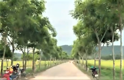 Triển khai cơ chế, chính sách đặc thù đẩy nhanh tiến độ thực hiện Chương trình mục tiêu quốc gia 1