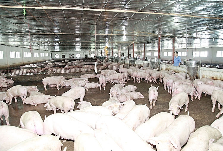 Huyện Đồng Hỷ: Đẩy mạnh đầu tư phát triển kết cấu hạ tầng kinh tế - xã hội đối với vùng đồng bào dân tộc và miền núi 5