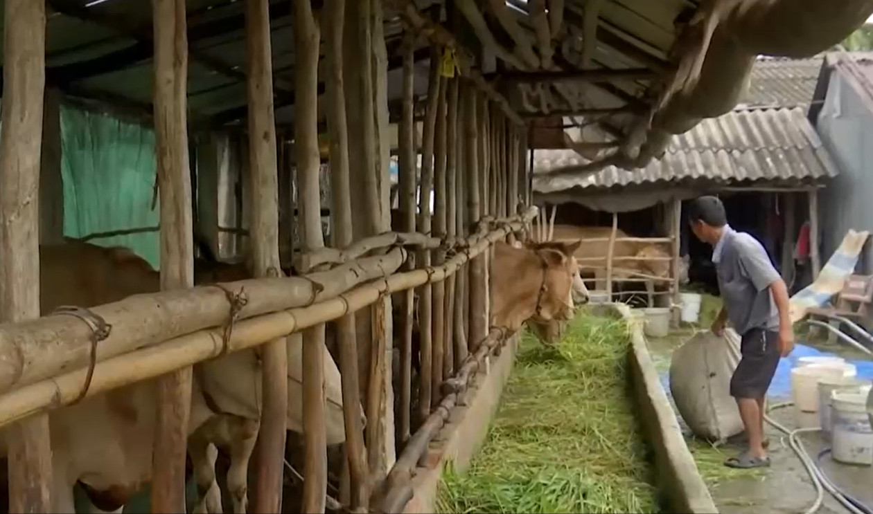 Sóc Trăng hỗ trợ đồng bào dân tộc Khmer chuyển đổi ngành nghề, ổn định cuộc sống 1