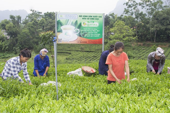 Huyện Võ Nhai: Huy động mọi nguồn lực cho đầu tư phát triển, thực hiện tốt công tác dân tộc 3