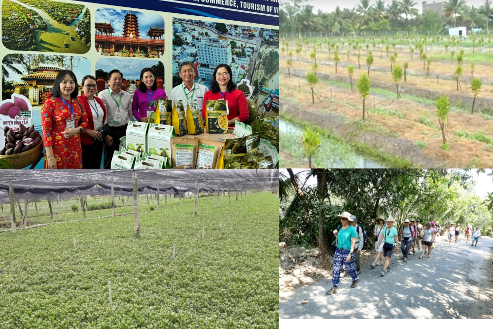 Vĩnh Long tập trung nguồn lực đẩy mạnh xây dựng nông thôn mới năm 2024