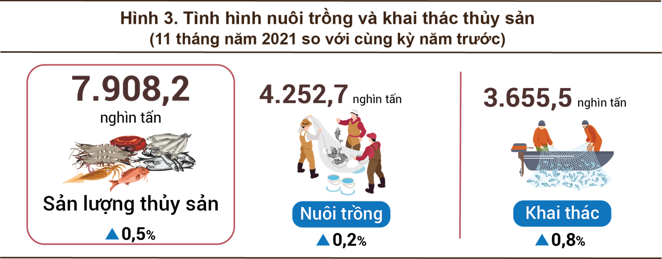 Tình hình kinh tế - xã hội tháng 11 và 11 tháng năm 2021 2