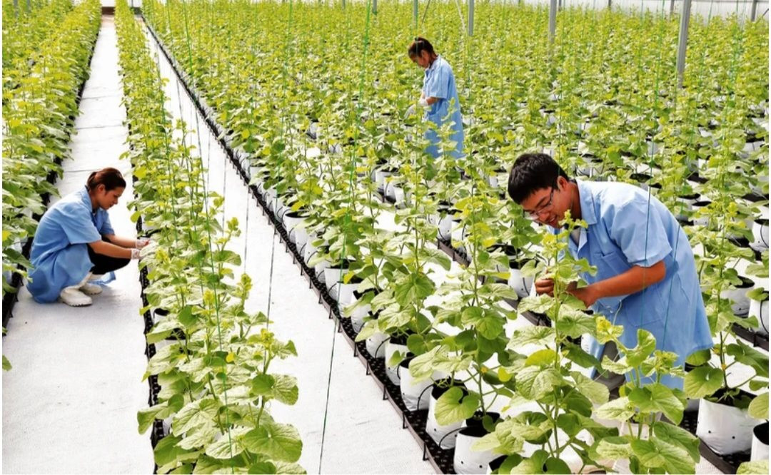 Hà Nam: Mặt trận Tổ quốc phát huy vai trò nòng cốt trong tuyên truyền, vận động người dân tham gia xây dựng nông thôn mới 2