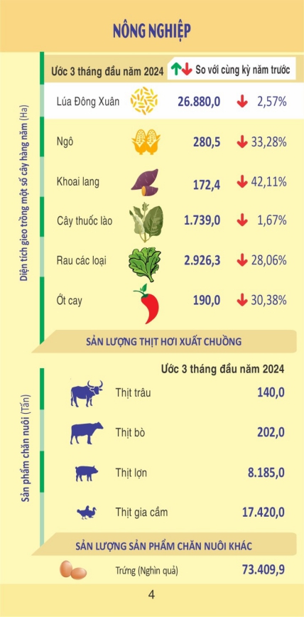 Tình hình kinh tế - xã hội thành phố Hải Phòng quý I/2024 3
