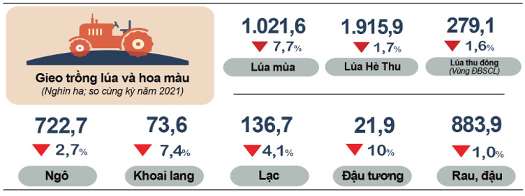 Tình hình kinh tế - xã hội tháng 7 và 7 tháng năm 2022