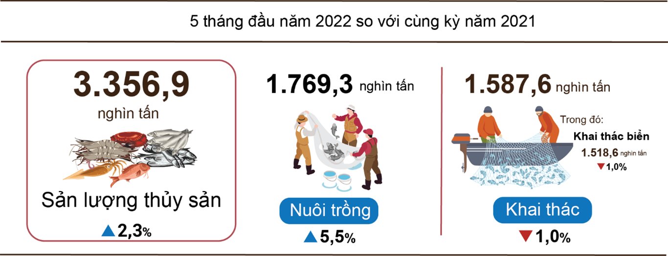 Tình hình kinh tế - xã hội tháng 5 và 5 tháng đầu năm 2022