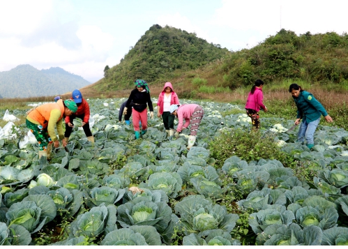 Hà Giang tích cực chuẩn bị cho thực hiện Tổng điều tra Nông thôn, nông nghiệp năm 2025 1